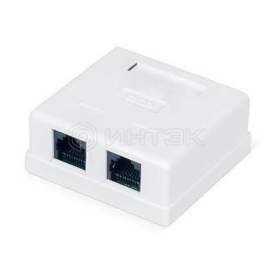 Розетка компьютерная 2-м ОП WR-WS-8P8C-C5E-2 RJ45 кат.5E неэкранир. Dual IDC бел. WRline 505216 изображение, фото