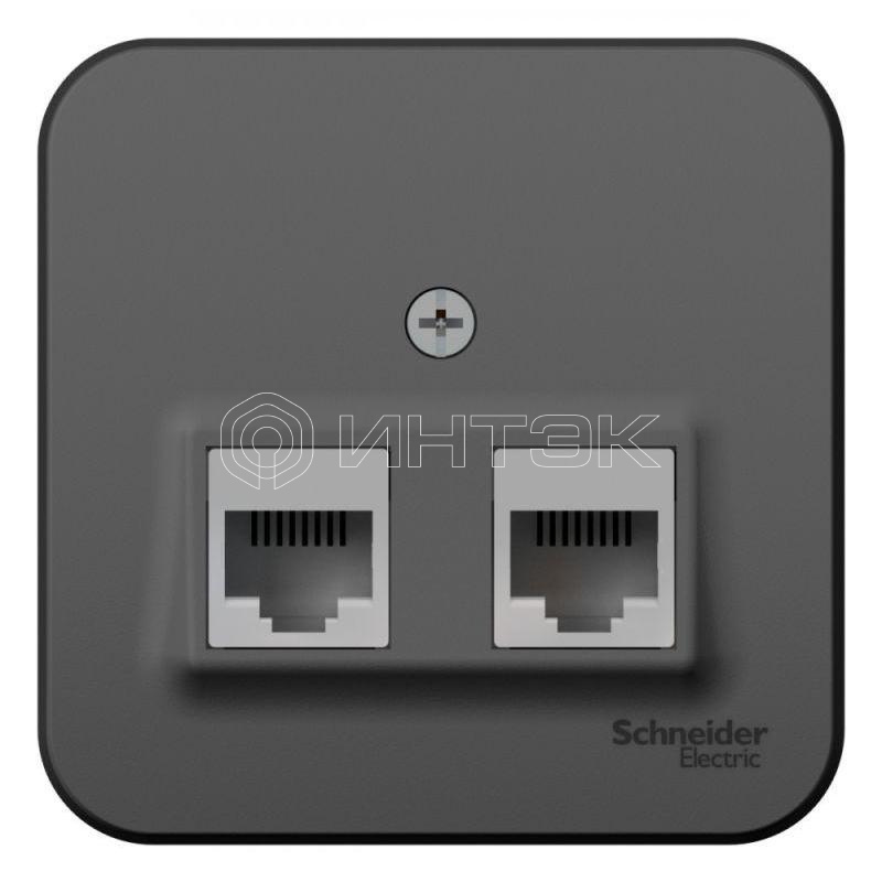Розетка компьютерная 2-м ОП Blanca RJ45 кат.5E с изолир. пластиной антрацит Systeme Electric BLNIA045456 изображение, фото