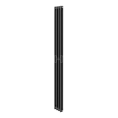 Дизайн-радиатор Royal Thermo Insignia C2180 - 04 секц. RAL9005m изображение, фото