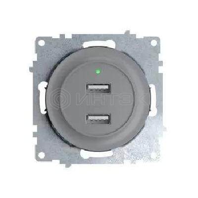 Розетка USB 2-м СП Florence 16А IP20 с подсветкой механизм сер. (1E10351302) OneKeyElectro 2260091 изображение, фото