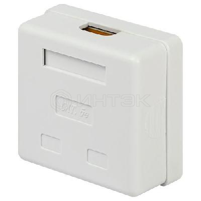 Розетка компьютерная 2-м RJ45 кат.5E неэкранир. Эра Б0056902 изображение, фото