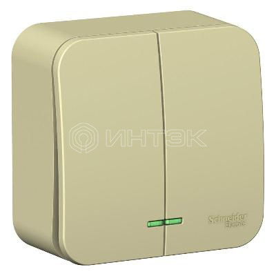 Выключатель 2-кл. ОП Blanca 10А IP20 (сх. 5) 250В с подсветкой с изолир. пластиной беж.  Systeme Electric BLNVA105117 изображение, фото