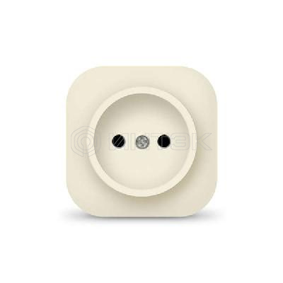 Розетка 1-м ОП 10А IP20 без заземл. сл. кость IONICH 1431 изображение, фото