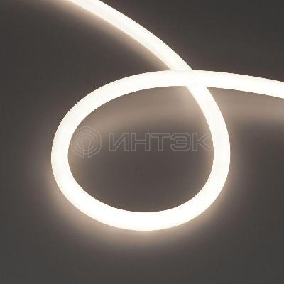 Лента светодиодная MOONLIGHT-TOP-S-M560-D13mm 24V Day 4300К 13Вт/м IP65 wire x1 трос прямой вывод герметичная (уп.5м) Arlight 043817 изображение, фото