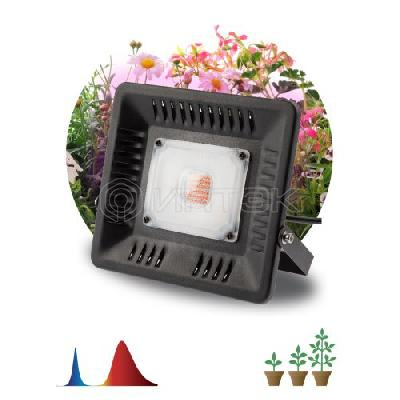 Прожектор светодиодный для растений FITO-50W-LED BLUERED 50Вт IP65 220-240В -30град. до + 45град. 30000ч для цветения и плодоношения красно-синего спектра ЭРА Б0039033 изображение, фото