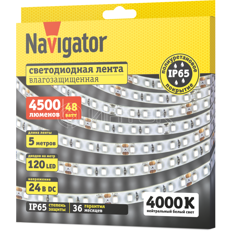 Лента светодиодная 95 302 NLS-2835W120-9.6-IP65-24V (уп.5м) Navigator 95302 изображение, фото