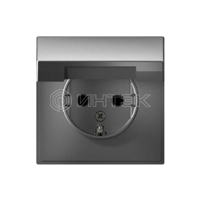 Розетка ArtGallery 16А IP20 с заземл. защ. шторки с крышкой механизм сталь  Systeme Electric GAL000946 изображение, фото