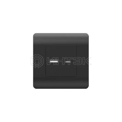 Розетка USB NEW3-E тип A+C 5В/2.1А черн. CHINT 431501 изображение, фото
