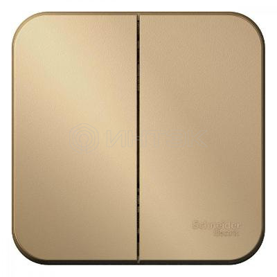 Выключатель 2-кл. ОП Blanca 10А IP20 (сх. 5) 250В с изолир. пластиной титан Systeme Electric BLNVA105014 изображение, фото