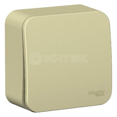 Выключатель 1-кл. ОП Blanca 10А IP20 (сх. 1) 250В с изолир. пластиной беж.  Systeme Electric BLNVA101017 изображение, фото