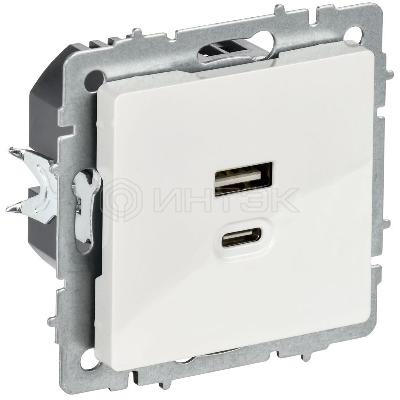 Розетка СП BRITE РЮ11-2-БрБ USB A+C 45Вт высокоскор. заряд. бел. IEK BR-U22-045-K01 изображение, фото