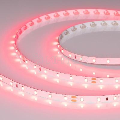 Лента светодиодная RT-A60-8mm 24В Ruby 4.8Вт/м IP20 (уп.5м) Arlight 055374 изображение, фото