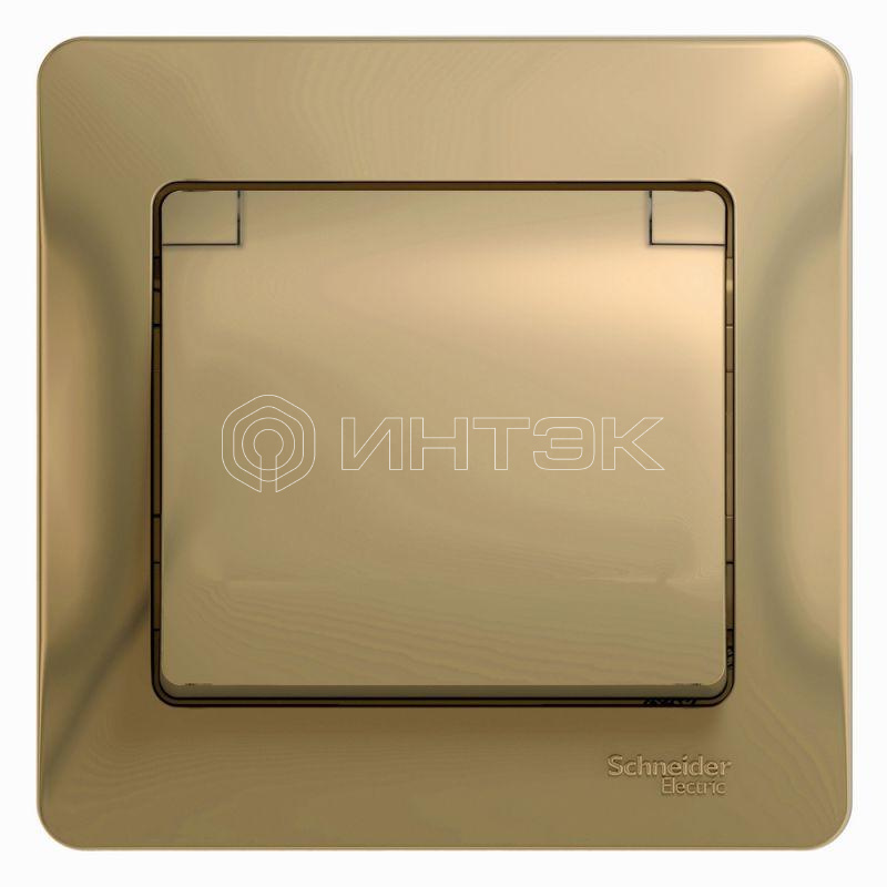 Розетка 1-м СП Glossa 16А IP20 с заземл. защ. шторки с крышкой в сборе титан Systeme Electric GSL000446 изображение, фото