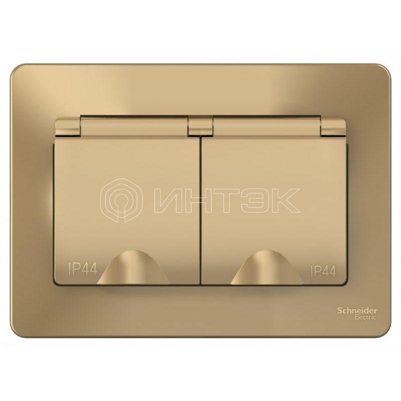 Розетка 2-м СП Blanca 16А IP44 250В с заземл. защ. шторки с крышкой титан Systeme Electric BLNRS441124 изображение, фото