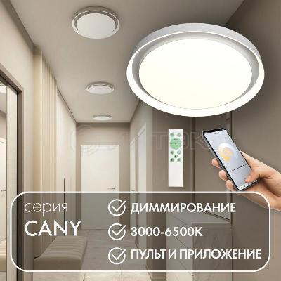 Светильник 50Вт 3000К-6500К IP20 накладной со встроен. светодиодом управление пульт Д/У (в комплекте) и Wi-Fi 2.4Ггц эко система Smart Life Яндекс Алиса метал. полимер бел. DENKIRS 780291 изображение, фото