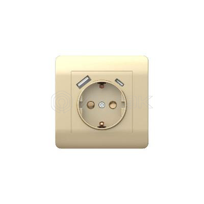 Розетка NEW3-E 16А с заземл. защ. шторки с 2-мя заряд. устройствами USB A+C 5В/2.1А шампань CHINT 431453 изображение, фото