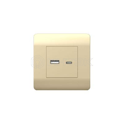 Розетка USB NEW3-E тип A+C 5В/2.1А шампань CHINT 431450 изображение, фото