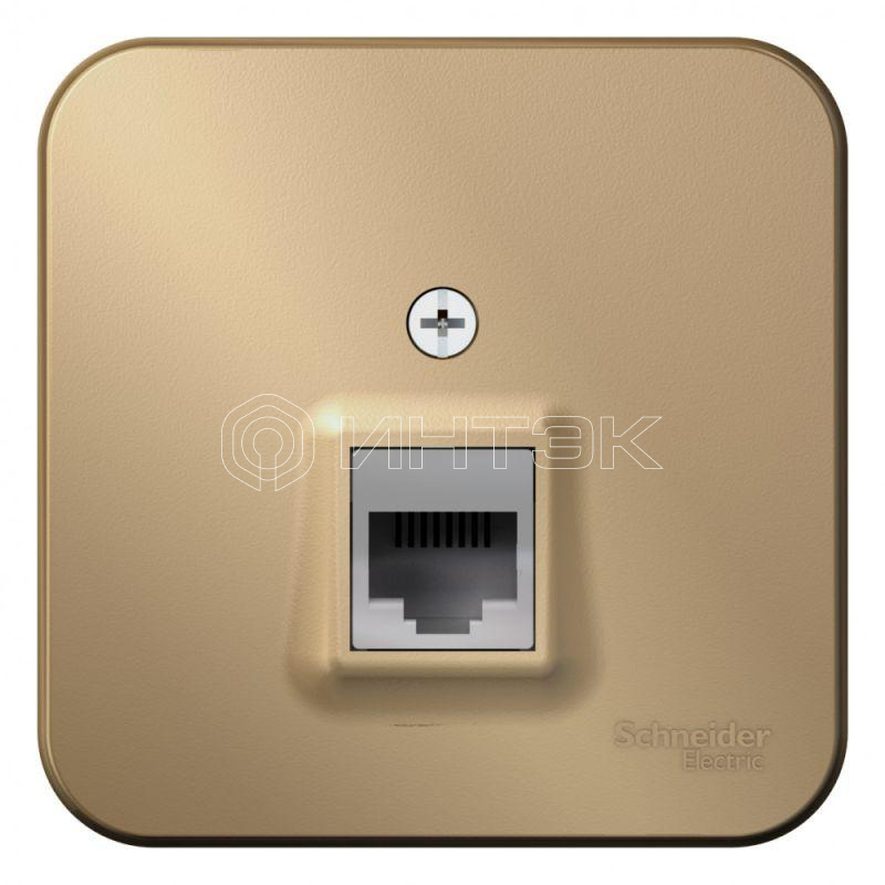Розетка компьютерная 1-м ОП Blanca RJ45 кат.5E с изолир. пластиной титан Systeme Electric BLNIA045004 изображение, фото