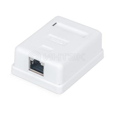 Розетка компьютерная 1-м ОП WR-WS-8P8C-C5E-SH-1 RJ45 кат.5E экранир. Dual IDC бел. WRline 505217 изображение, фото