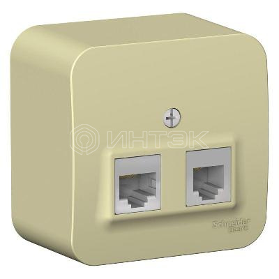 Розетка компьютерная + телефонная 2-м ОП Blanca RJ45 кат.5E + RJ11 с изолир. пластиной беж. Systeme Electric BLNIA045117 изображение, фото