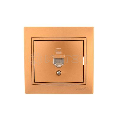 Розетка компьютерная 1-м СП Mira RJ45 зол. метал. LEZARD 701-1313-139 изображение, фото