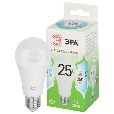 Лампа светодиодная GREEN LINE A60-25W-840-E27 GL 25Вт груша 4000К яркий свет бел. E27 Эра Б0067117 изображение, фото