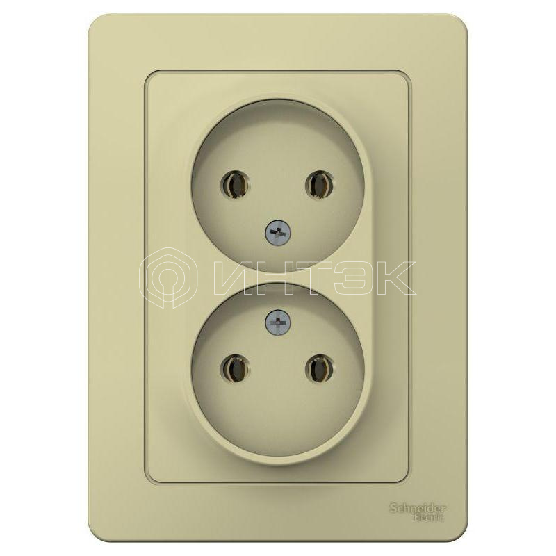 Розетка 2-м СП Blanca 16А IP20 250В без заземл. без защ. шторок беж.  Systeme Electric BLNRS000027 изображение, фото