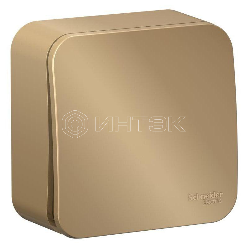 Переключатель проходной 1-кл. ОП Blanca 10А IP20 (сх. 6) 250В с изолир. пластиной титан Systeme Electric BLNVA106014 изображение, фото