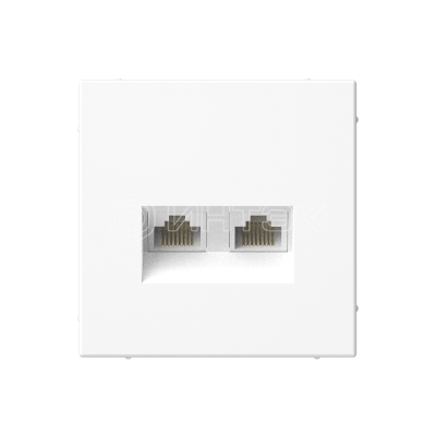 Розетка компьютерная 2-м ArtGallery RJ45 + RJ45 кат.5E механизм лотос Systeme Electric GAL001385 изображение, фото
