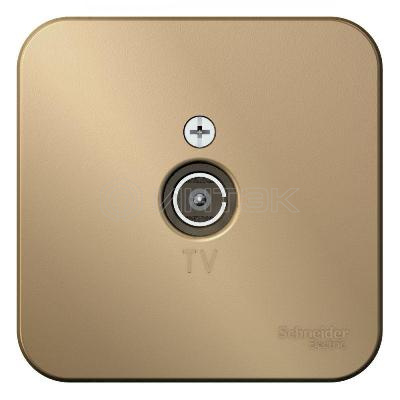 Розетка телевизионная TV ОП Blanca 16А 250В коннектор с изолир. пластиной титан Systeme Electric BLNTA000014 изображение, фото