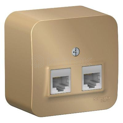 Розетка компьютерная 2-м ОП Blanca RJ45 кат.5E с изолир. пластиной титан Systeme Electric BLNIA045454 изображение, фото