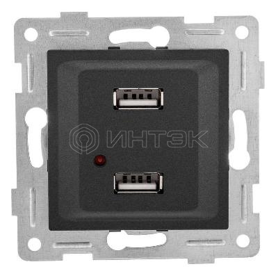 Розетка USB 2-м СП Ugra механизм графит GUSI С11USB2-010 изображение, фото