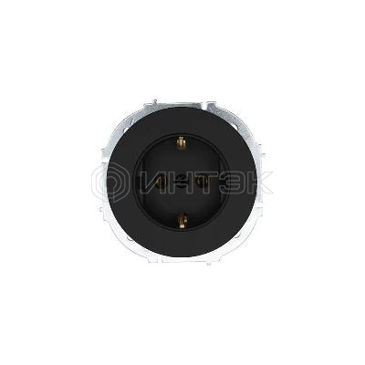 Розетка 1-м O Systeme ElectricN IP20 16А с заземл. ПБТ механизм черн. бархат LEZARD 743-4288-122B изображение, фото