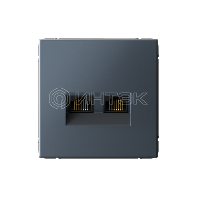 Розетка компьютерная 2-м ArtGallery RJ45 + RJ45 кат.5E механизм грифель Systeme Electric GAL000785 изображение, фото