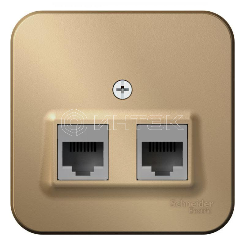 Розетка компьютерная 2-м ОП Blanca RJ45 кат.5E с изолир. пластиной титан Systeme Electric BLNIA045454 изображение, фото