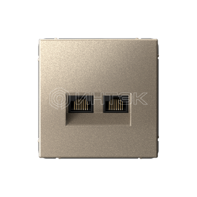 Розетка компьютерная 2-м ArtGallery RJ45 + RJ45 кат.5E механизм шампань Systeme Electric GAL000585 изображение, фото