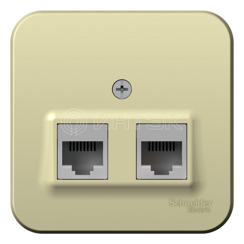 Розетка компьютерная 2-м ОП Blanca RJ45 кат.5E с изолир. пластиной беж. Systeme Electric BLNIA045457 изображение, фото