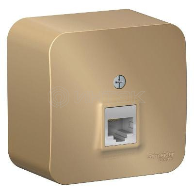 Розетка компьютерная 1-м ОП Blanca RJ45 кат.5E с изолир. пластиной титан Systeme Electric BLNIA045004 изображение, фото
