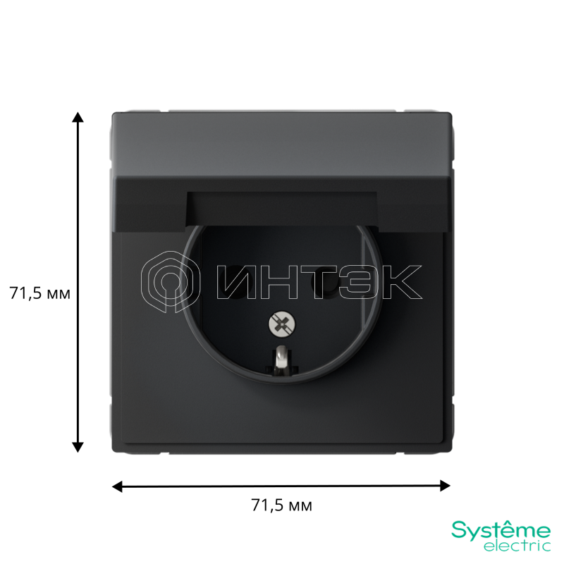 Розетка ArtGallery 16А IP20 с заземл. защ. шторки с крышкой механизм карбон  Systeme Electric GAL001046 изображение, фото