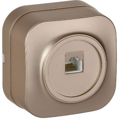 Розетка компьютерная ОП RJ45 кат.5E GLORY РК10-ХШм шампань матов. IEK EKH10-K37M изображение, фото