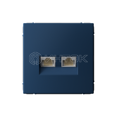 Розетка компьютерная 2-м ArtGallery RJ45 + RJ45 кат.5E механизм аквамарин Systeme Electric GAL001185 изображение, фото