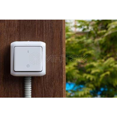 Выключатель 1-кл. 2п ОП Quteo 10А IP44 250В 10AX сер. Legrand 782339 изображение, фото