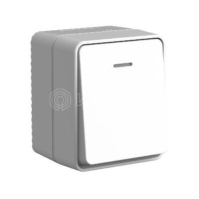 Выключатель 1-кл. ОП AtlasDesign PROFI IP54 10АX с подсветкой сер.  Systeme Electric ATN543013 изображение, фото