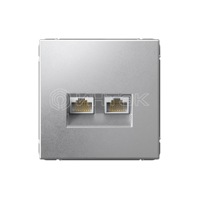 Розетка компьютерная 2-м ArtGallery RJ45 + RJ45 кат.5E механизм алюм. Systeme Electric GAL000385