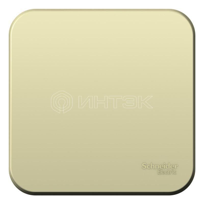Переключатель проходной 1-кл. ОП Blanca 10А IP20 (сх. 6) 250В с изолир. пластиной беж.  Systeme Electric BLNVA106017 изображение, фото