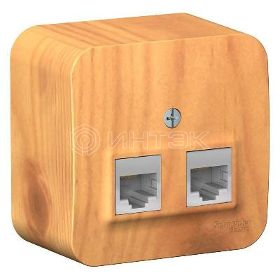 Розетка компьютерная 2-м ОП Blanca RJ45 кат.5E с изолир. пластиной ясень Systeme Electric BLNIA045455 изображение, фото