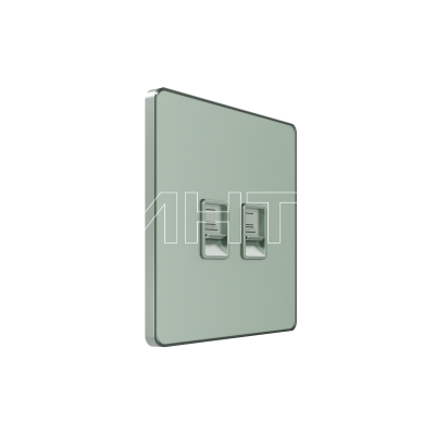 Розетка информационная 2-м СП Systeme Infinity RJ45 кат.5E IP20 таежное утро Systeme Electric FSE000885 изображение, фото