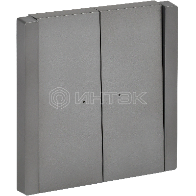  Выключатель 2-клавишный проходной с индикацией 10А FP508 сталь IEK FORTE&PIANO FP-V22-1-10-1-K46 изображение, фото