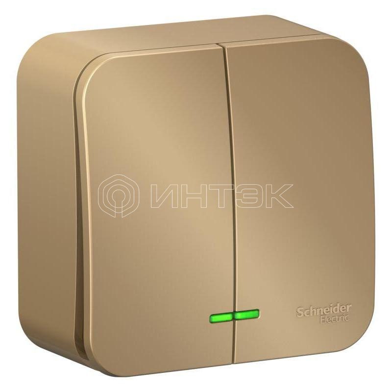 Выключатель 2-кл. ОП Blanca 10А IP20 (сх. 5) 250В с подсветкой с изолир. пластиной титан Systeme Electric BLNVA105114 изображение, фото