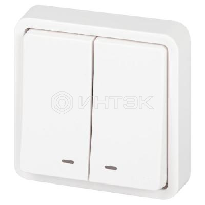 Выключатель Эксперт 11-1525-01 двойн. с подсветкой IP55 10АХ-250В СУ бел. Эра Б0063304 изображение, фото